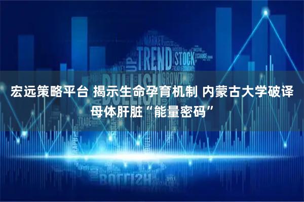 宏远策略平台 揭示生命孕育机制 内蒙古大学破译母体肝脏“能量密码”
