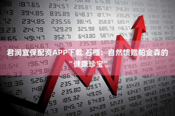 君润宜保配资APP下载 石榴：自然馈赠帕金森的“健康珍宝”