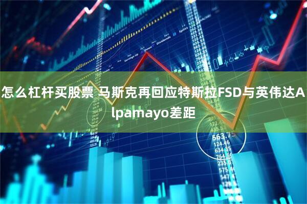 怎么杠杆买股票 马斯克再回应特斯拉FSD与英伟达Alpamayo差距