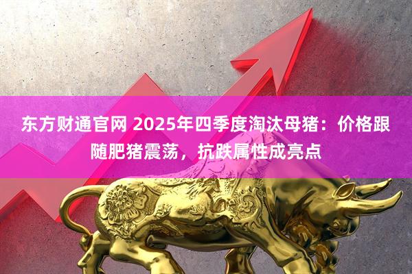东方财通官网 2025年四季度淘汰母猪：价格跟随肥猪震荡，抗跌属性成亮点