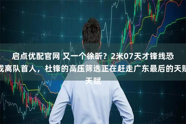 启点优配官网 又一个徐昕？2米07天才锋线恐成离队首人，杜锋的高压筛选正在赶走广东最后的天赋