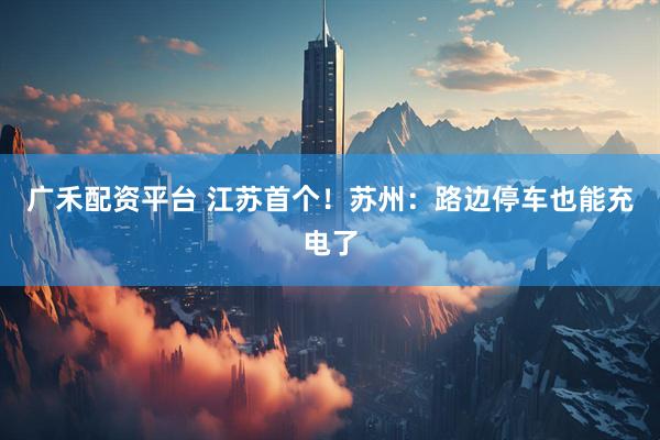 广禾配资平台 江苏首个！苏州：路边停车也能充电了